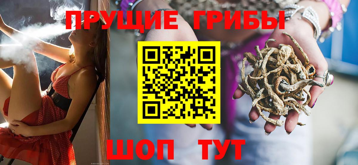 Галлюциногенные грибы Cubensis  Вход с VPN  Крымск  Псилоцибиновые грибы Cubensis 